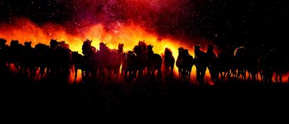 Blazing Group Of Horses Running - Royalty-Free Stock Images