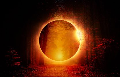 Mysterious Woods Stock Photo Montage