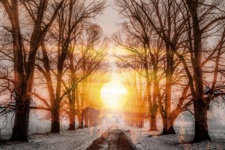 Wintery Road 01 - Royalty-Free Stock Images