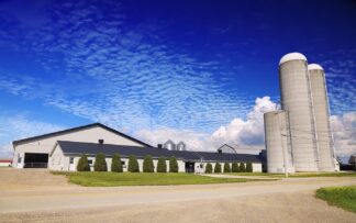 Modern Large Farm with Bulk Grain Storage Silos - Royalty-Free Stock Images