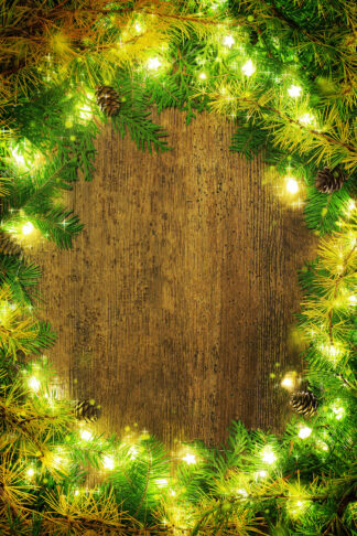 Vertical Pine and Lights Frame 2 - Royalty-Free Stock Images
