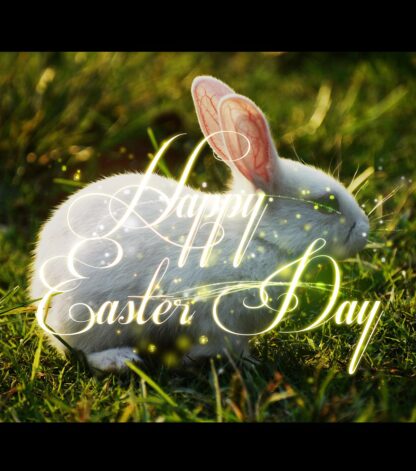 Cute Happy Easter Bunny 2 - Royalty-Free Stock Images
