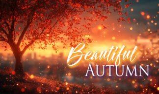 Beautiful Autumn - Amazing Fall at Sunset